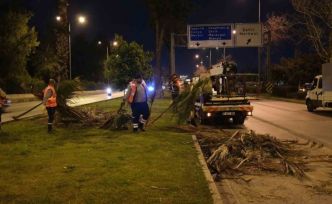 Büyükşehir’den gece budama çalışması
