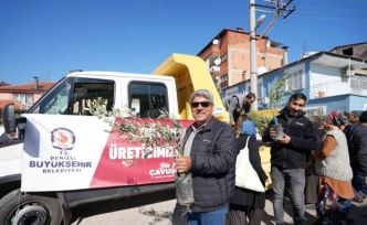 Denizli Büyükşehirden zeytin fidanı seferberliği