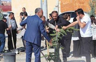 Karapınar’da fidanlar toprakla buluştu