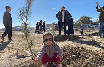 Yozgat’ta bozkır ağaçlandırıldı