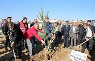 Erciş’te fidan dikme etkinliği