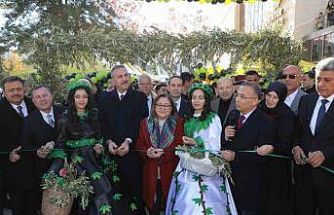 Gaziantep Zeytin Festivali başladı