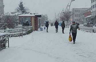 Kar Erzurum’u esir aldı