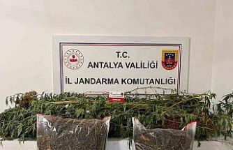 Alanya’da narkotik operasyonları