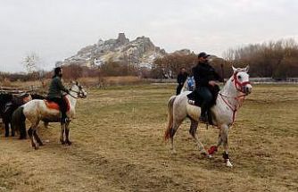 At çiftliğine ilgi büyük