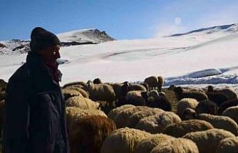 Besicilerin kış çilesi