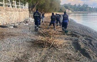 Rodos’un pisliği Datça’yı vurdu