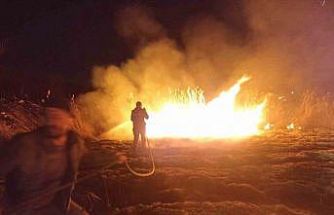 Malatya’da sazlık alanda yangın