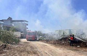 Arsuz’da sazlık yangını