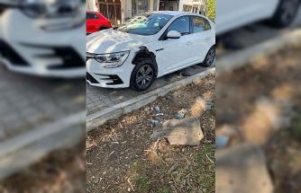 Fethiye’de domuzlar otomobili parçaladı