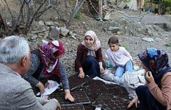 Fidelerini kendileri yetiştiriyorlar