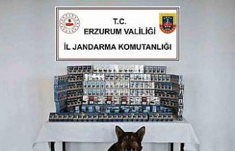 Jandarmadan kaçakçılara geçit yok