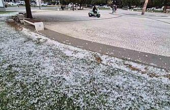 Kar değil polen