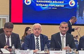 Karadeniz Bölgesi İstişare Toplantısı