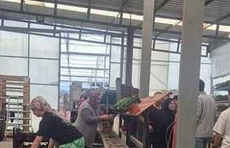 Öğrenciler çiçeklerle sürdürülebilirliği keşfetti