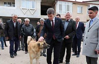 Sokak köpeğine devlet şefkati
