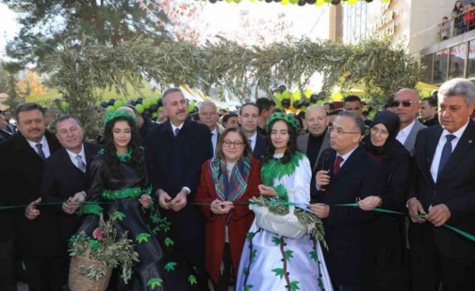 Gaziantep Zeytin Festivali başladı