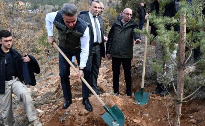 Gümüşhane’de binlerce fidan toprakla buluştu