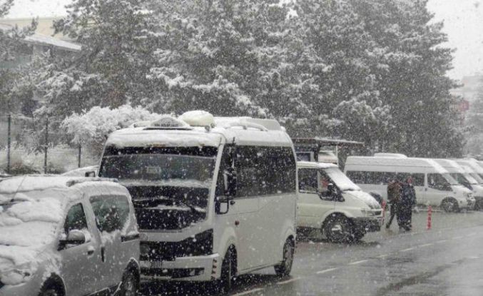 Ahlat’ta nisan karı etkili oldu
