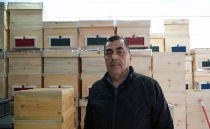 Arı ölümleri korkutuyor