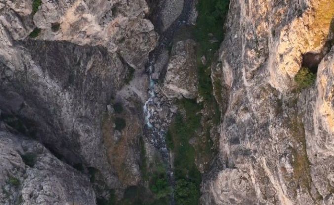 Erzincan’da kanyonlarla bütünleşen yaban keçileri