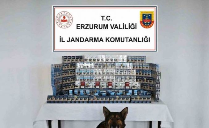Jandarmadan kaçakçılara geçit yok