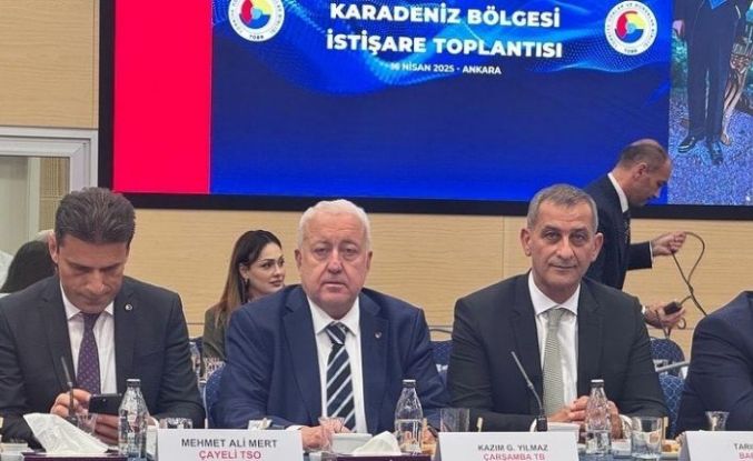 Karadeniz Bölgesi İstişare Toplantısı