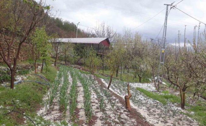 Kozan’da dolu yağışı etkili oldu