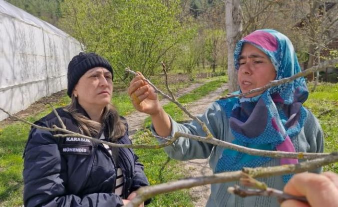 Tarım alanlarında "zarar tespit" incelemesi