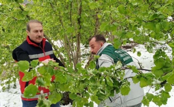Terme’de hasar tespiti çalışmaları başladı