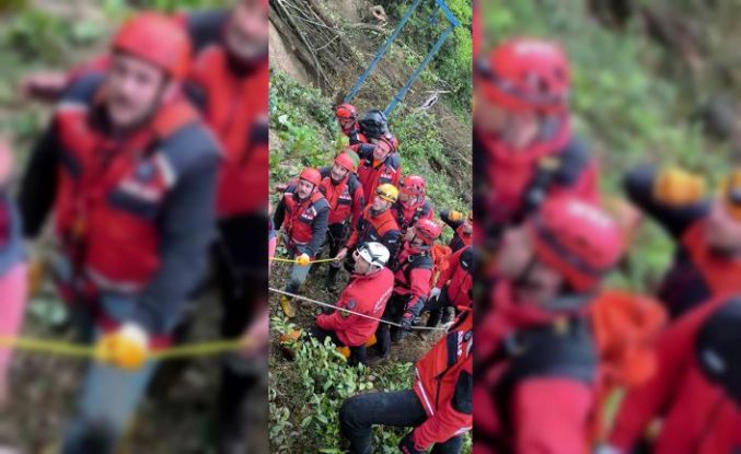 Üzerine ağaç devrildi, hayatını kaybetti